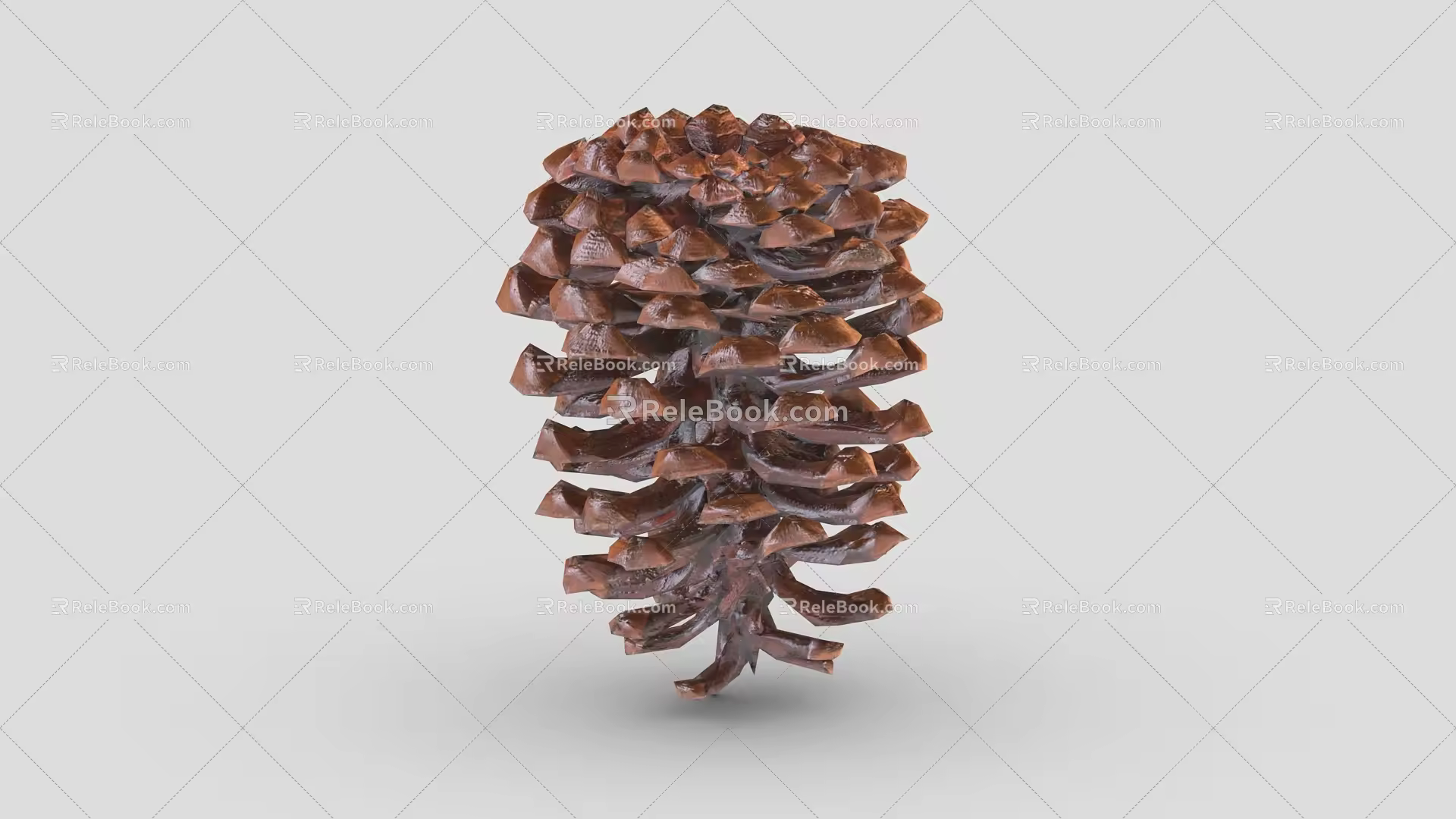 pine cone cartoon pine cone 1 hazelnut dried fruit pine nuts 3d model