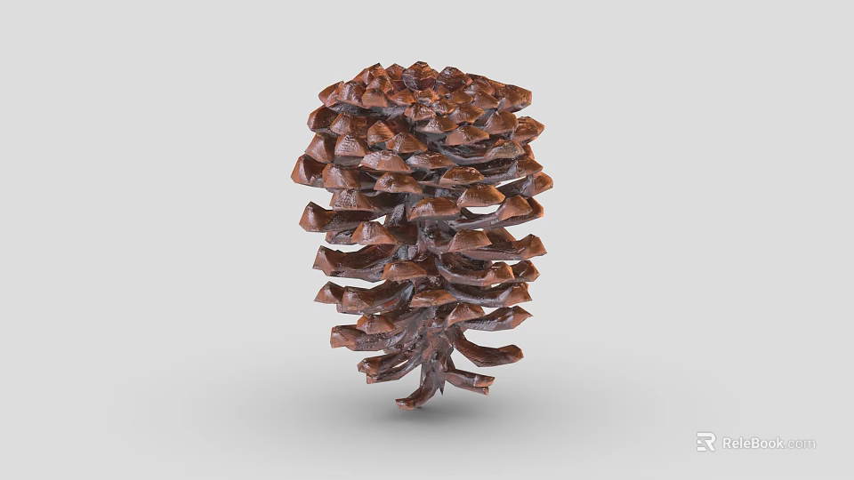 Fresh Ripe Pineapple Fruit With Juicy Sweet Flesh And Spiky Exterior 3d model 