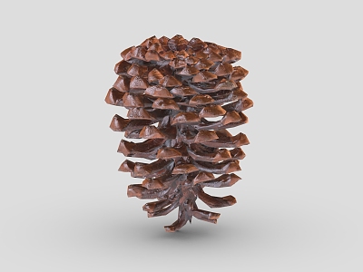 pine cone cartoon pine cone 1 hazelnut dried fruit pine nuts 3d model