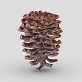 pine cone cartoon pine cone 1 hazelnut hazelnut dried fruit pine nuts 3d model