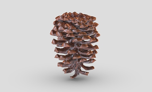 pine cone cartoon pine cone 1 hazelnut dried fruit pine nuts 3d model