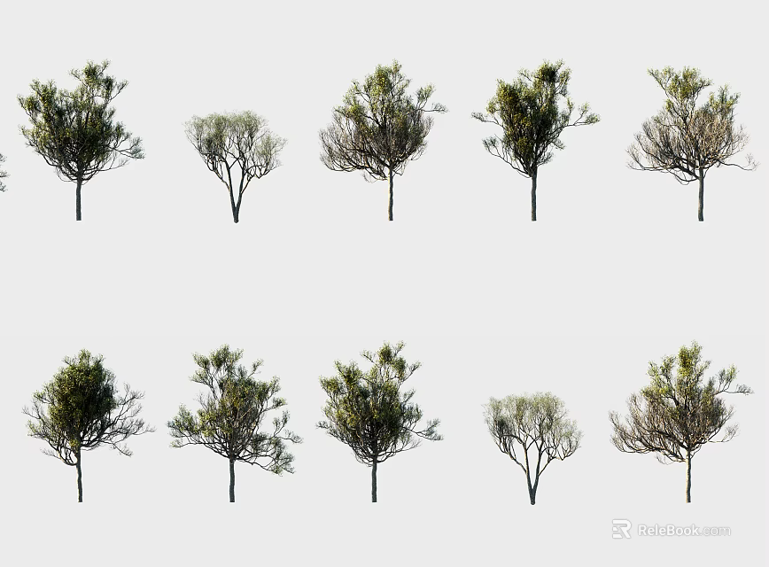 Various Arbor Tree Varieties Featuring Different Crown Shapes And Green Foliage 3d model