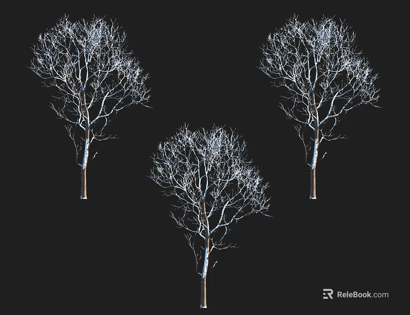 Three Leafless Deciduous Trees With Bare Branches Against Black Background 3d model 