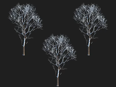 Three Leafless Deciduous Trees With Bare Branches Against Black Background 3d model