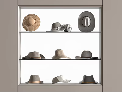 Stylish Hats Displayed On Three Shelves With Beige Gray White And Classic Designs 3d model