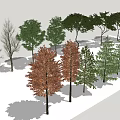 Modern Tree Landscape Tree Metasequoia 3d model