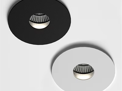 Modern Downlights and Spotlights with Black White Frame and Silver Body 3d model