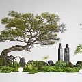 Song Dynasty Style Pine Tree with Stone Statues Moss Ferns and Greenery in Garden
