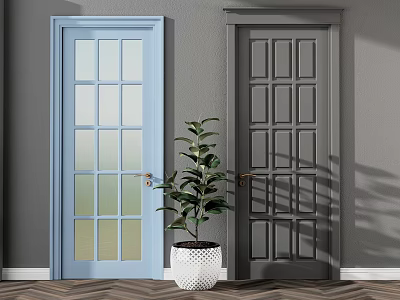 Light Blue And Dark Gray Swing Doors With Glass Solid Panels And Potted Plant 3d model
