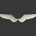 White Wings With Detailed Shiny Feathers And Reflection On White Background