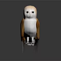White And Brown Barn Owl Standing On Dark Background With Detailed Feathers And 3D Render Design