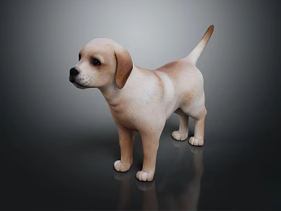 Cute Light Brown And White Puppy Standing On Dark Surface With Gray Background 3d model