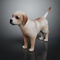 Cute Light Brown And White Puppy Standing On Dark Surface With Gray Background