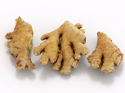 Fresh Raw Ginger Root Vegetable Three Natural Pieces On White Background 3d model Fresh Raw Ginger Root Vegetable Three Natural Pieces On White Background 3d model