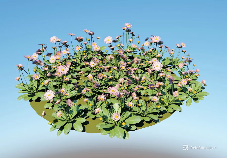 Round Flower Cluster With Pink White Blooms Green Leaves And Blue Sky 3d model 