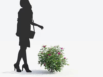 Pink Flower Bush With Green Leaves Near Woman Silhouette In High Heels And Handbag 3d model