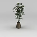 Innovative Tech Exhibition Hall With Bamboo Plant In Wooden Pot