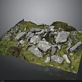 Wooden and Stone Natural Landscape Featuring Scattered Stones and Green Grass