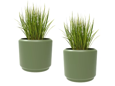 Two Green Potted Plants with Long Grass Like Foliage in Modern Round Planters 3d model