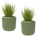 Two Green Potted Plants with Long Grass Like Foliage in Modern Round Planters