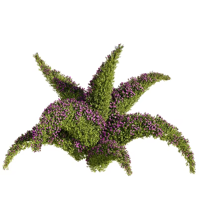 Lush Green Plants With Purple Flowers Forming Star Shaped Decorative Structure 3d model