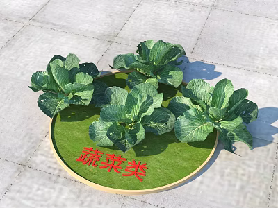 Fresh Green Vegetables Featuring Cabbage With Vibrant Leaves On Circular Lawn 3d model
