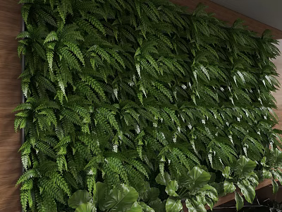 Lush Indoor Living Plant Wall With Green Ferns And Natural Foliage Design 3d model