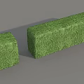 Two Well Trimmed Green Rectangular Shrubs In Block Shape For Garden Landscaping