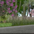 Vibrant Purple Flowers and Pink Blossoms Roadside Landscape With Cactus Palm Trees Green Grass