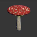Red and White Spotted Mushroom with Red Cap White Spots and Reflection on Dark Surface