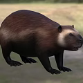 Aquatic Animal Beaver With Brown Fur And Strong Body In Natural Habitat