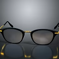 Modern Stylish Sleek Black Frame Eyeglasses With Gold Accents And Reflective Finish