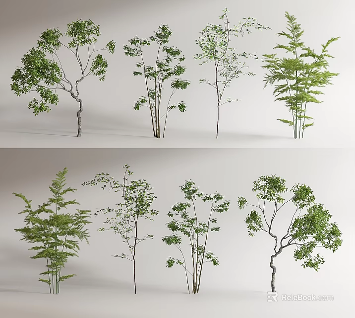 Diverse Natural Arbor Trees with Lush Green Foliage and Unique Branch Patterns 3d model 