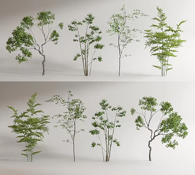 Diverse Natural Arbor Trees with Lush Green Foliage and Unique Branch Patterns 3d model