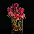Decorative Ornament Set with Transparent Glass Vase Pink Magenta Flowers Green Leaves Pebbles Black Background