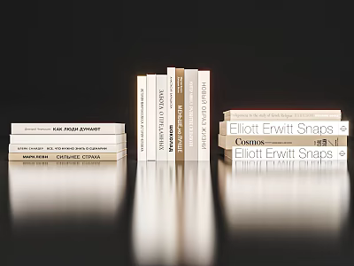 Modern Book Ornaments 3d model