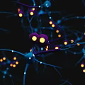 Neural Organizational System With Glowing Synapses Neurons And Interconnected Network Structure
