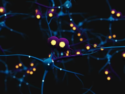 Neural Organizational System With Glowing Synapses Neurons And Interconnected Network Structure 3d model