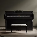 Elegant Black Piano With Matching Bench On Circular Rug In Room
