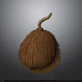 Brown Fibrous Round Food With Curved Stem And Natural Texture
