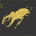 Stag Beetle With Large Mandibles And Brown Red Body On Dark Background