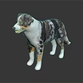Australian Shepherd Dog With Brown White Black Spots Standing On Dark Background With Reflection