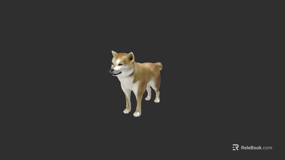 Realistic Shiba Inu Dog Standing On Black Background 3D Rendered Model 3d model 