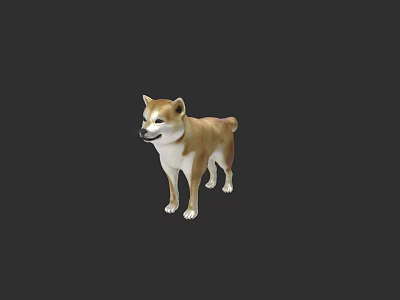 Realistic Shiba Inu Dog Standing On Black Background 3D Rendered Model 3d model