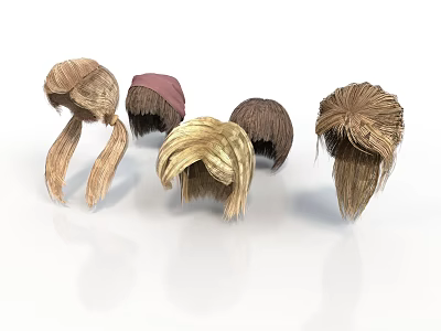 Various Style Daily Life Wigs With Different Colors And Natural Hair Look 3d model