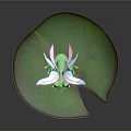 Mythical Winged Green Frog Sitting On Large Green Lily Pad With Iridescent Wings