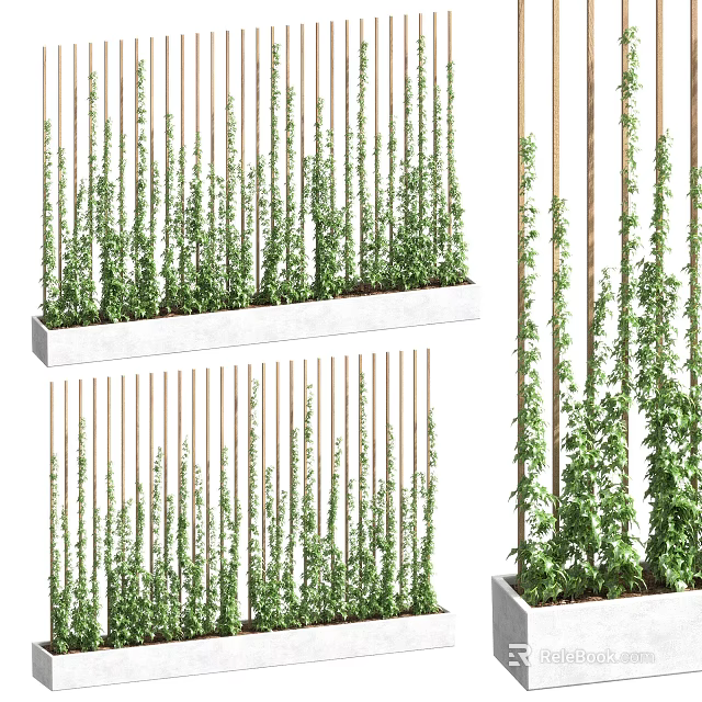 Climbing Vines Growing On Vertical Wooden Stakes In Outdoor Planters With Lush Green Foliage 3d model 