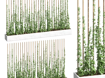 Climbing Vines Growing On Vertical Wooden Stakes In Outdoor Planters With Lush Green Foliage 3d model