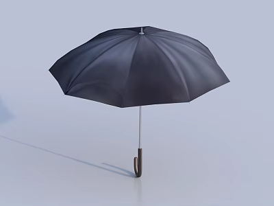 Classic Black Umbrella With Brown Handle Durable Fabric For Daily Rain Protection 3d model
