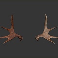 Modern antler antler head elk elk horn 3d model